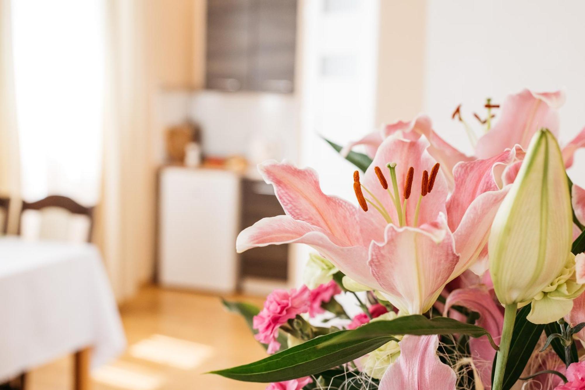 Apartamenty Baltyckie Władysławowo Екстериор снимка